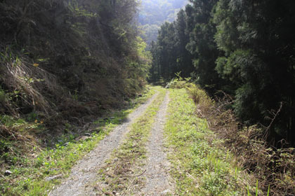 東川林道