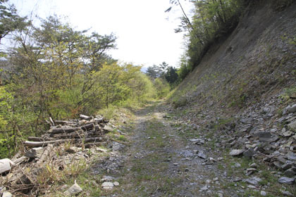 東川林道