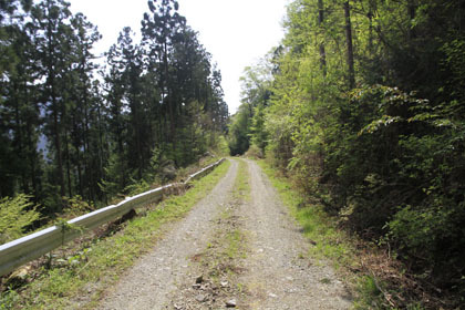 東川林道