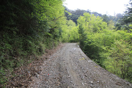 中津川林道