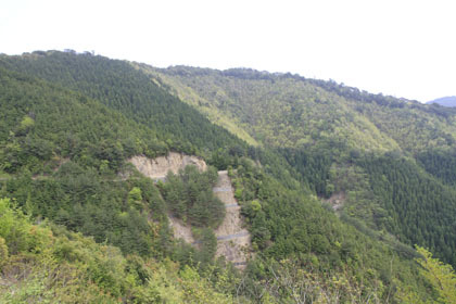 中津川林道