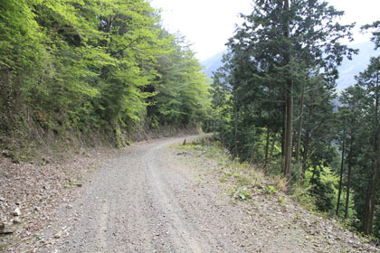 中津川林道