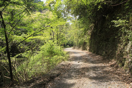 中津川林道