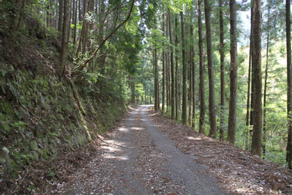 中津川林道
