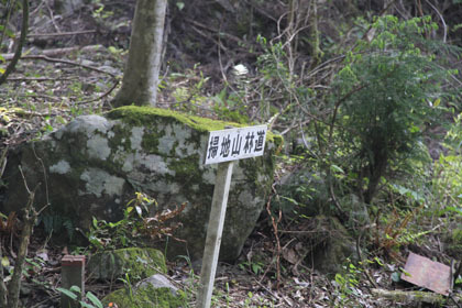 藤ノ川林道・掃地谷林道