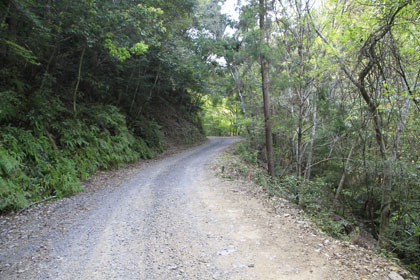 藤ノ川林道・掃地谷林道
