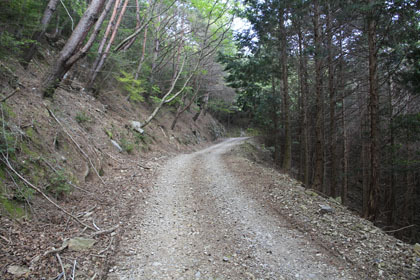 藤ノ川林道・掃地谷林道