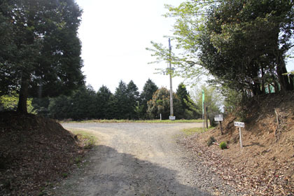 藤ノ川林道・掃地谷林道