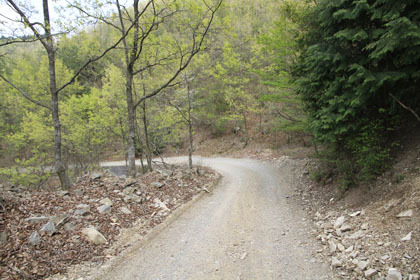 藤ノ川林道・掃地谷林道