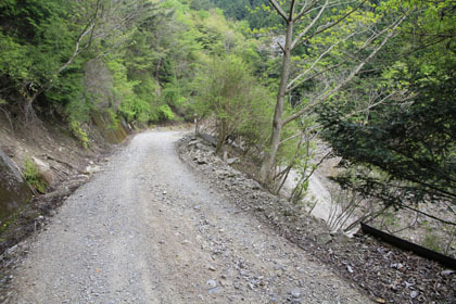 藤ノ川林道・掃地谷林道
