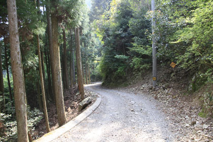 藤ノ川林道・掃地谷林道
