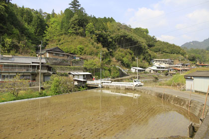 藤ノ川林道・掃地谷林道
