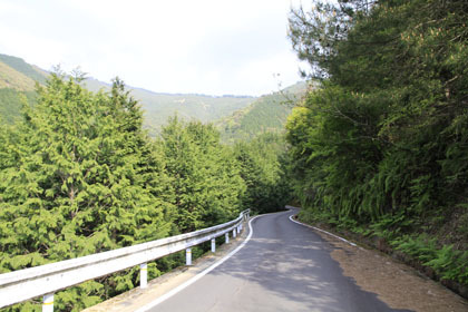 藤ノ川岩間林道