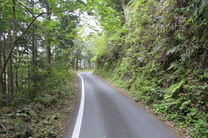 岩間沈下橋線