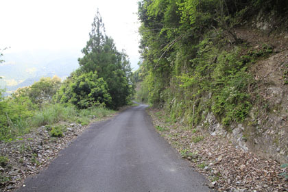 岩間沈下橋線