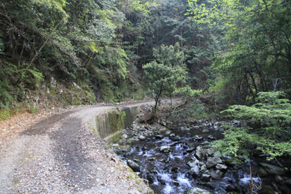 玖木山林道