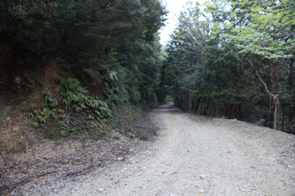 玖木山林道