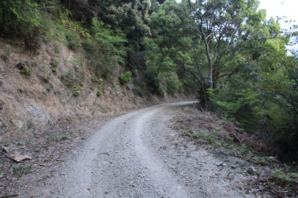 玖木山林道