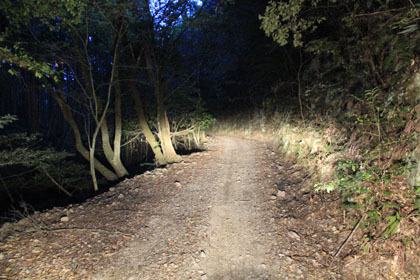 玖木山林道