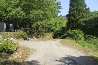 赤髭山林道