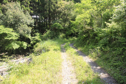 赤髭山林道