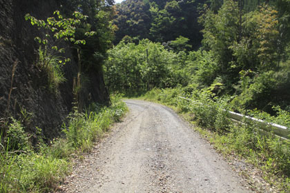 赤髭山林道