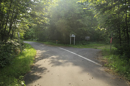 池田中央林道