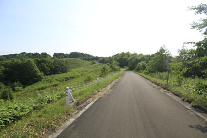 池田中央林道