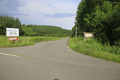 池田中央林道