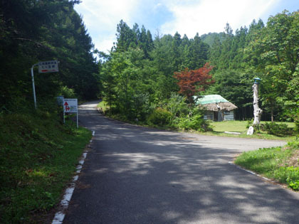 七ヶ岳林道