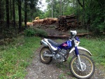 林業業者さ倒木バリケード