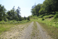 新興松川林道