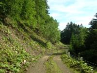 釧勝峠林道