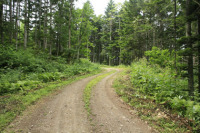 野上峠林道