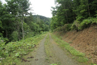 幌内7の沢林道