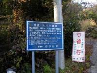 大川小溝林道