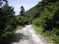 黒河林道・マキノ林道