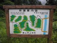 坪野蓬沢林道