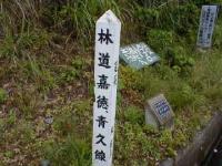 嘉徳青久住用中央東林道