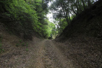 柊野高川林道