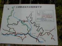 大日福井林道