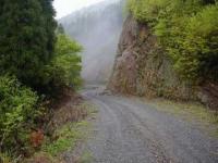 間柏原中山林道