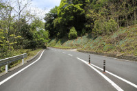 若山谷石神林道