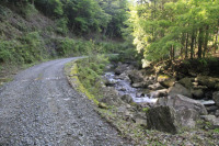 矢岳林道