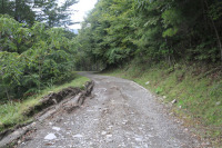 樫山小森川林道