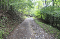 樫山林道