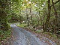 樺山火の土林道