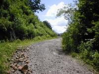 鷹ノ巣山林道(檜原峠、金山峠)