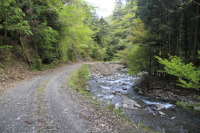 海川野久保林道
