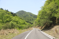 村道大川内野路線